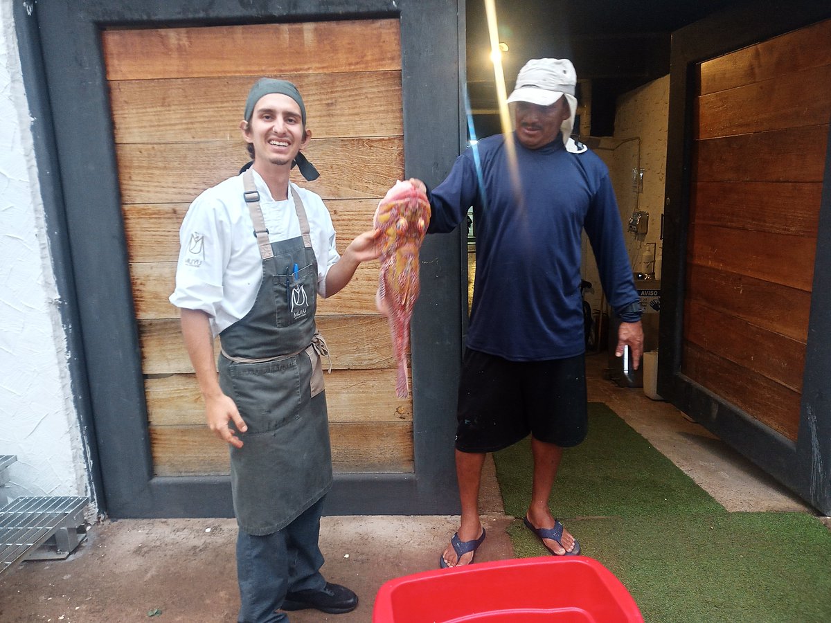 WildAid Latinoamérica tweet media