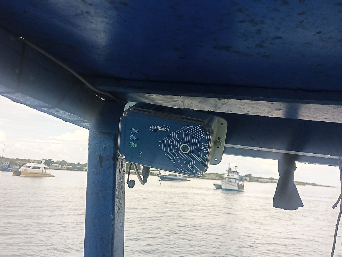 WildAid Latinoamérica tweet media