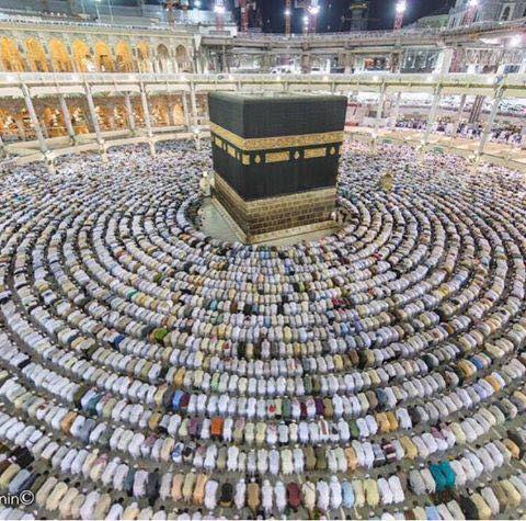 islamicfreedom's tweet photo. When you don't know what to do, Pray: Pray until your situation changes. Miracles happen everyday…. https://t.co/zwucCJucEi
