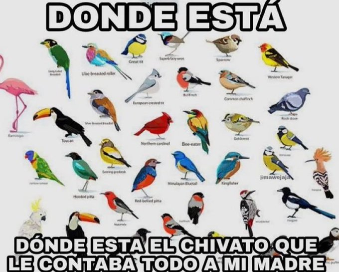 GARLOTIC tweet media