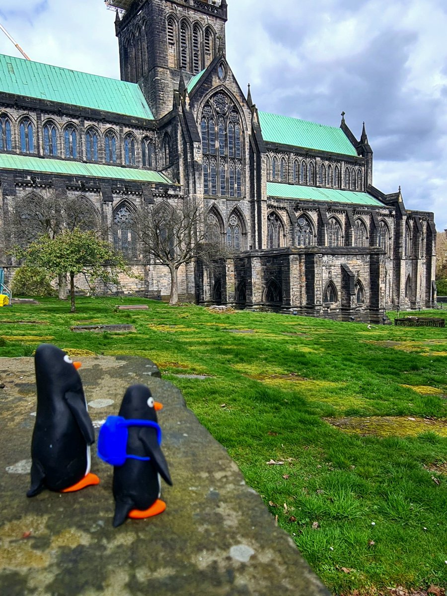 After school today, me and my Dad went to visit Glasgow Cathedral. It's really, really old - even older than Dad! 🤣🤣🤣🐧

#glasgow #glasgowcathedral
#glasgowpenguins #visitglasgow #thepenguinsinthewall #penguins