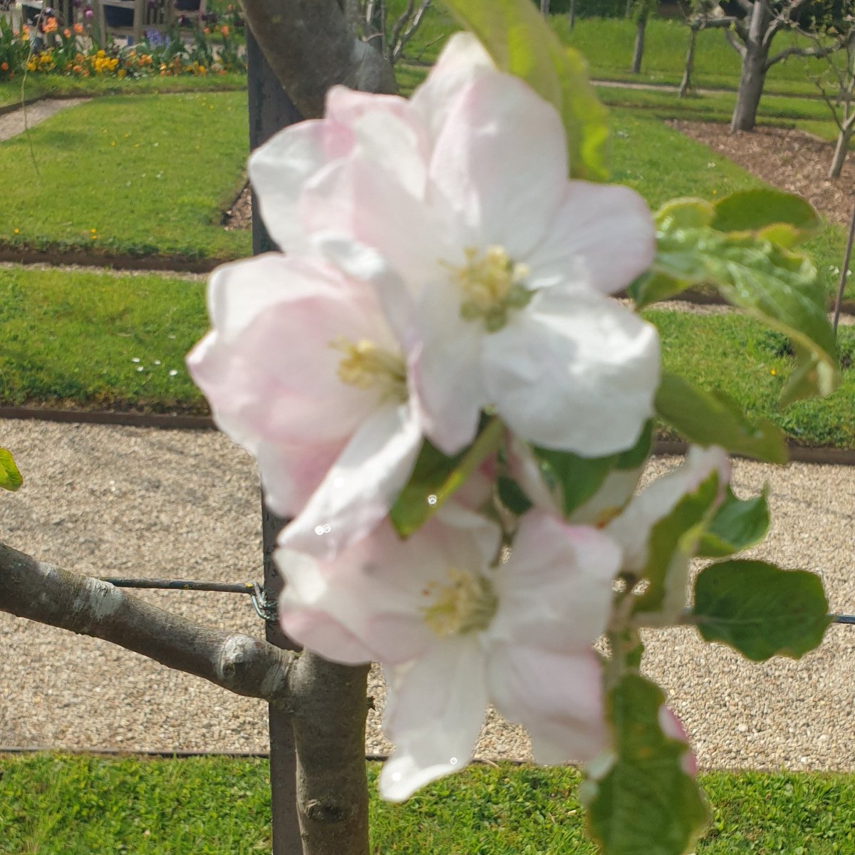 #NouvellePhotoDeProfil