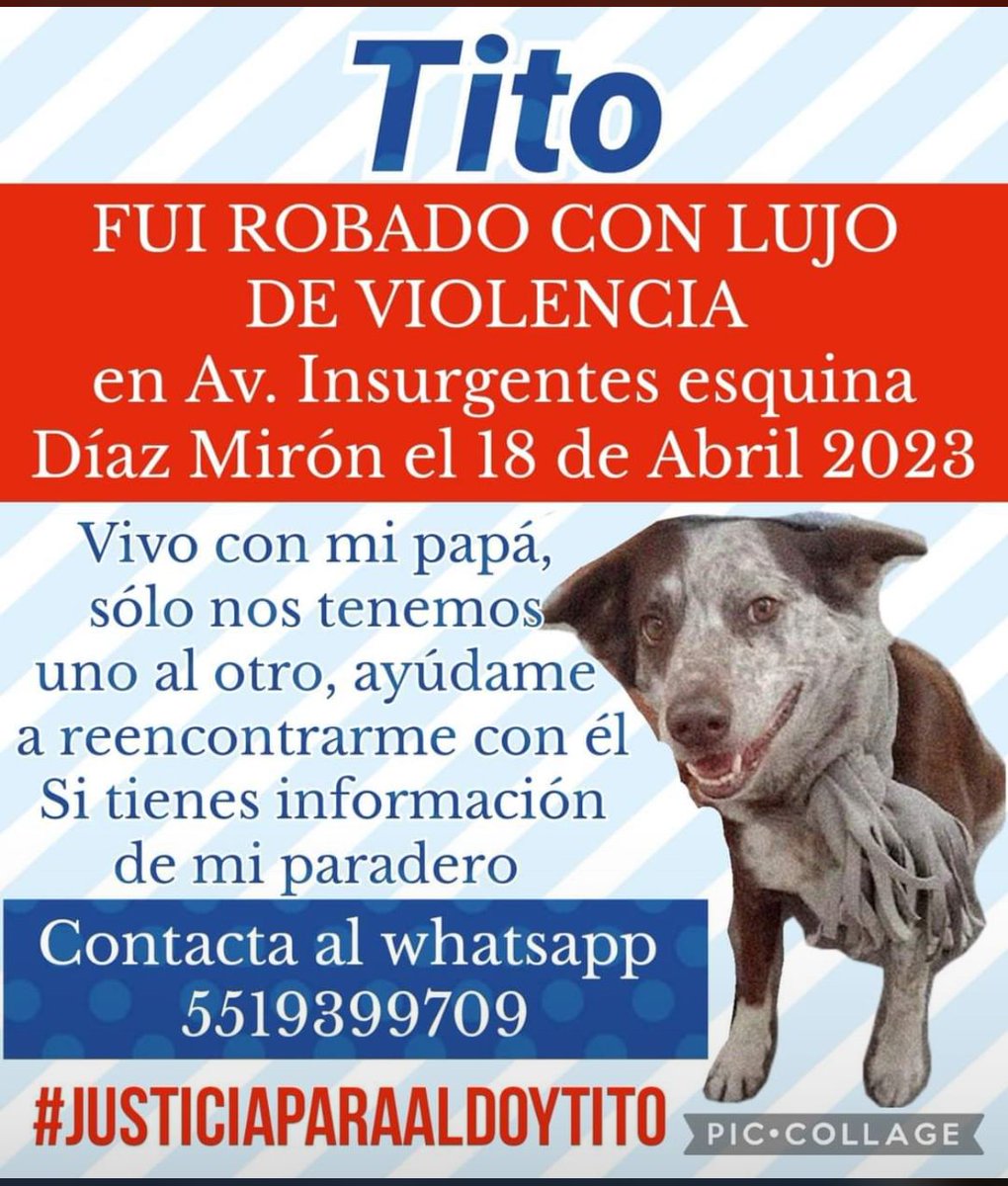 FundacionToby's tweet photo. https://t.co/iomGO1BJWV