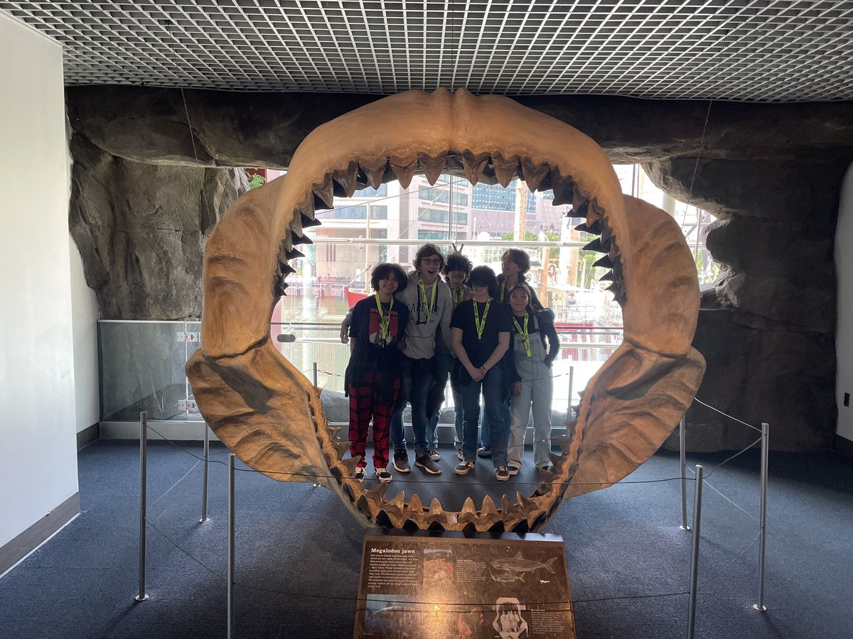 RomboutMS's tweet photo. Walked from Camden to the National Aquarium in the Inner Harbor then to dinner! https://t.co/bblCoQICmw