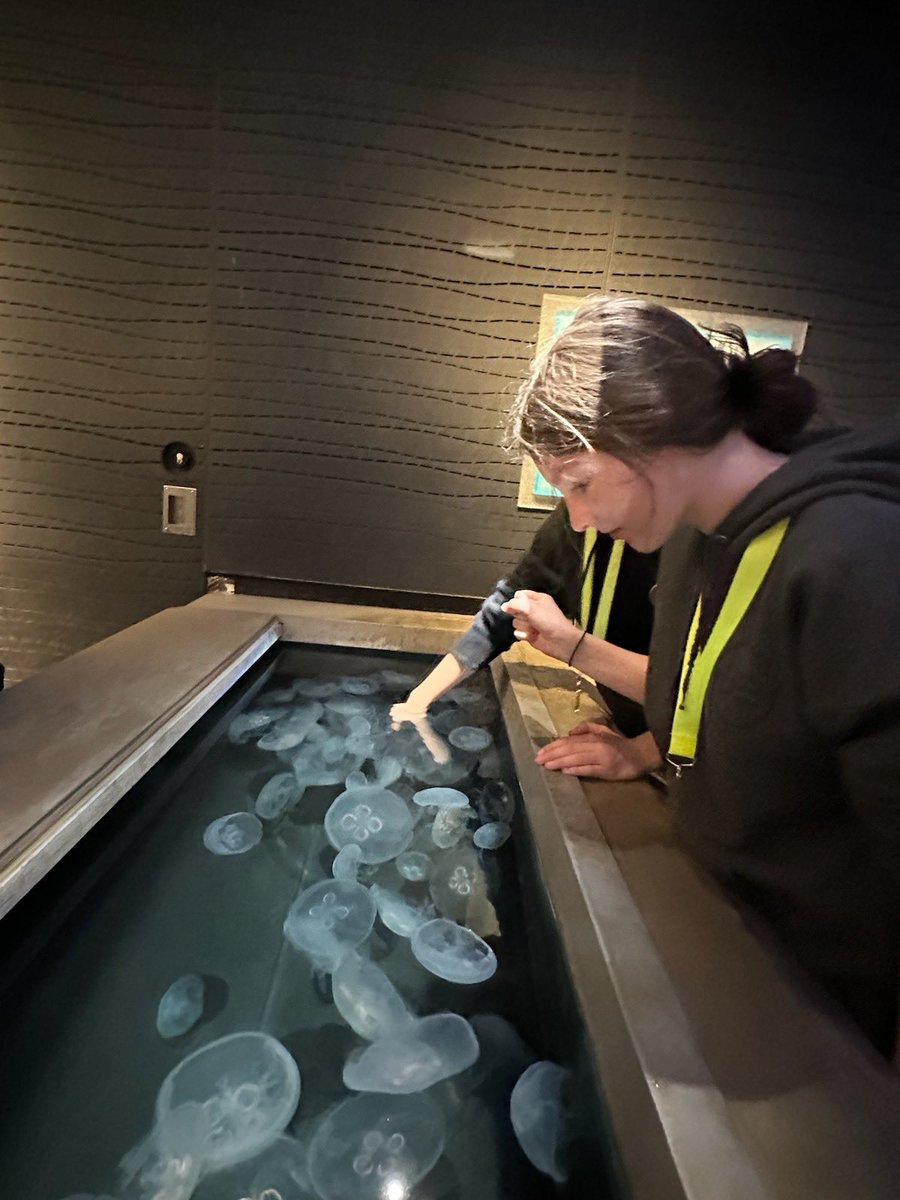 Walked from Camden to the National Aquarium in the Inner Harbor then to dinner!