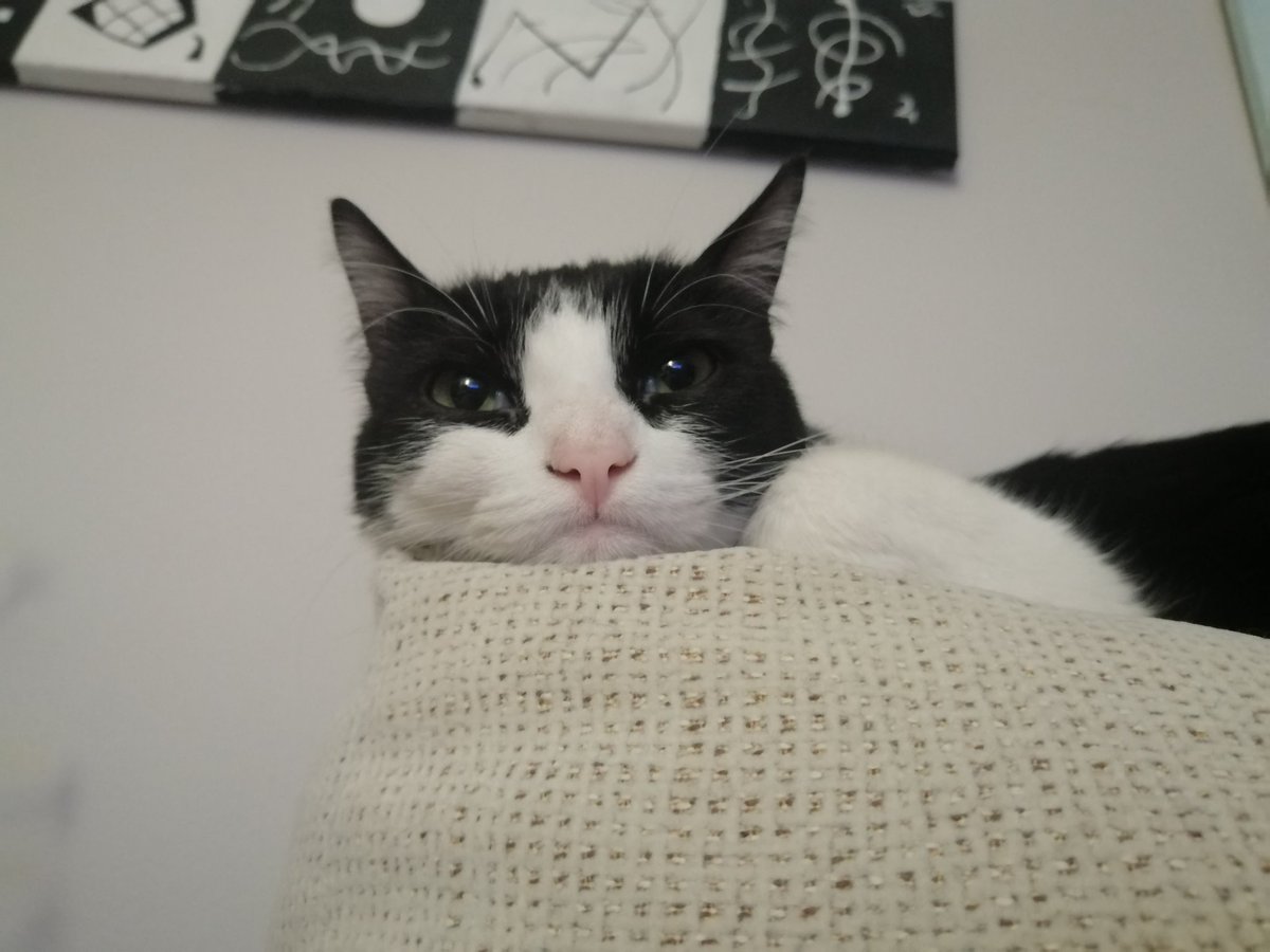 Está viendo Carmen San Diego mientras se queda mimidito 😍❤️