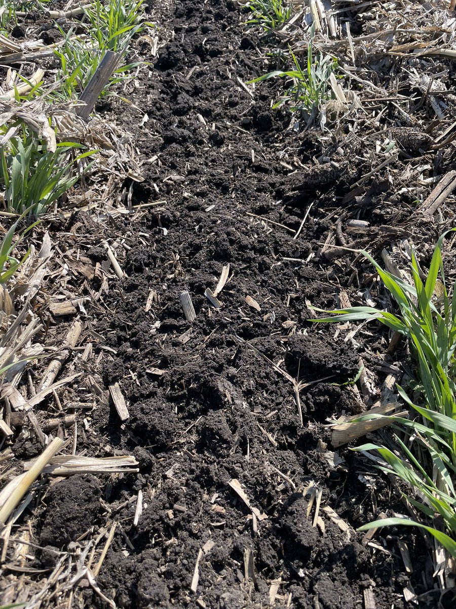 Making brownie batter today with a <a href="/YetterFarmEquip/">Yetter Farm Equip.</a> Strip Freshener CC! <a href="/AGandythompson/">Andy Thompson</a> <a href="/Vittetoe761/">Michael Vittetoe</a>