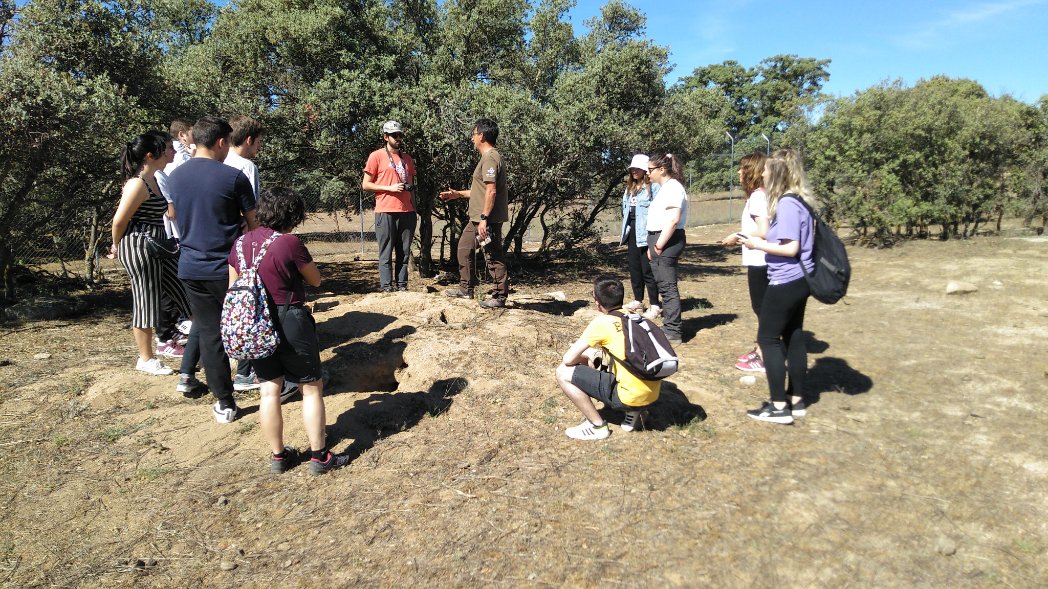 JaviFdS's tweet photo. Hoy con alumnado de Gestión de la Vida Silvestre #CienciasAmbientales @MAmbBioquimUCLM, hemos visitado una finca cinegética que colabora con la conservación de la biodiversidad en Montes de Toledo. Hemos visto medidas de seguimiento y gestión para conservar al lince, conejo, etc. https://t.co/kyxu6XlLNp