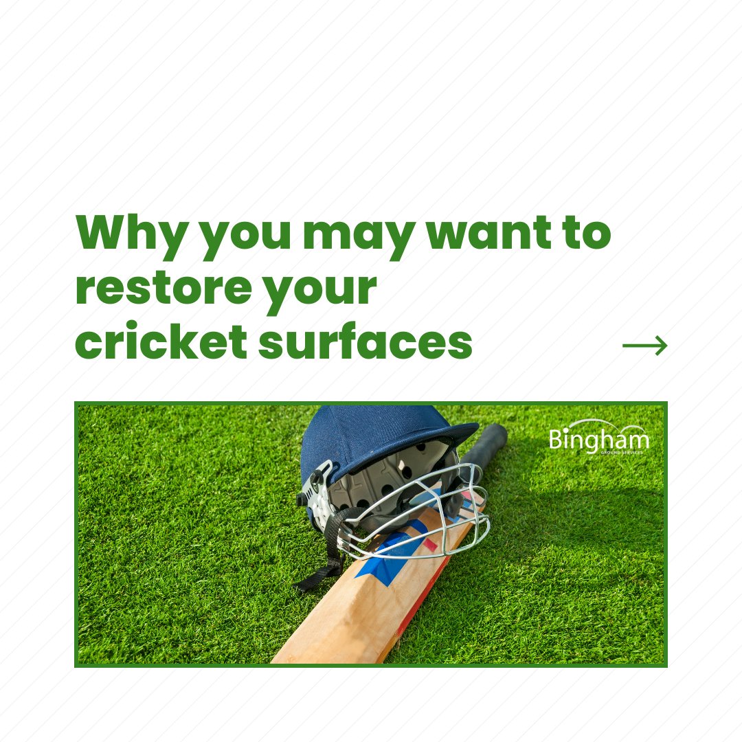 Bingham Ground Services tweet media