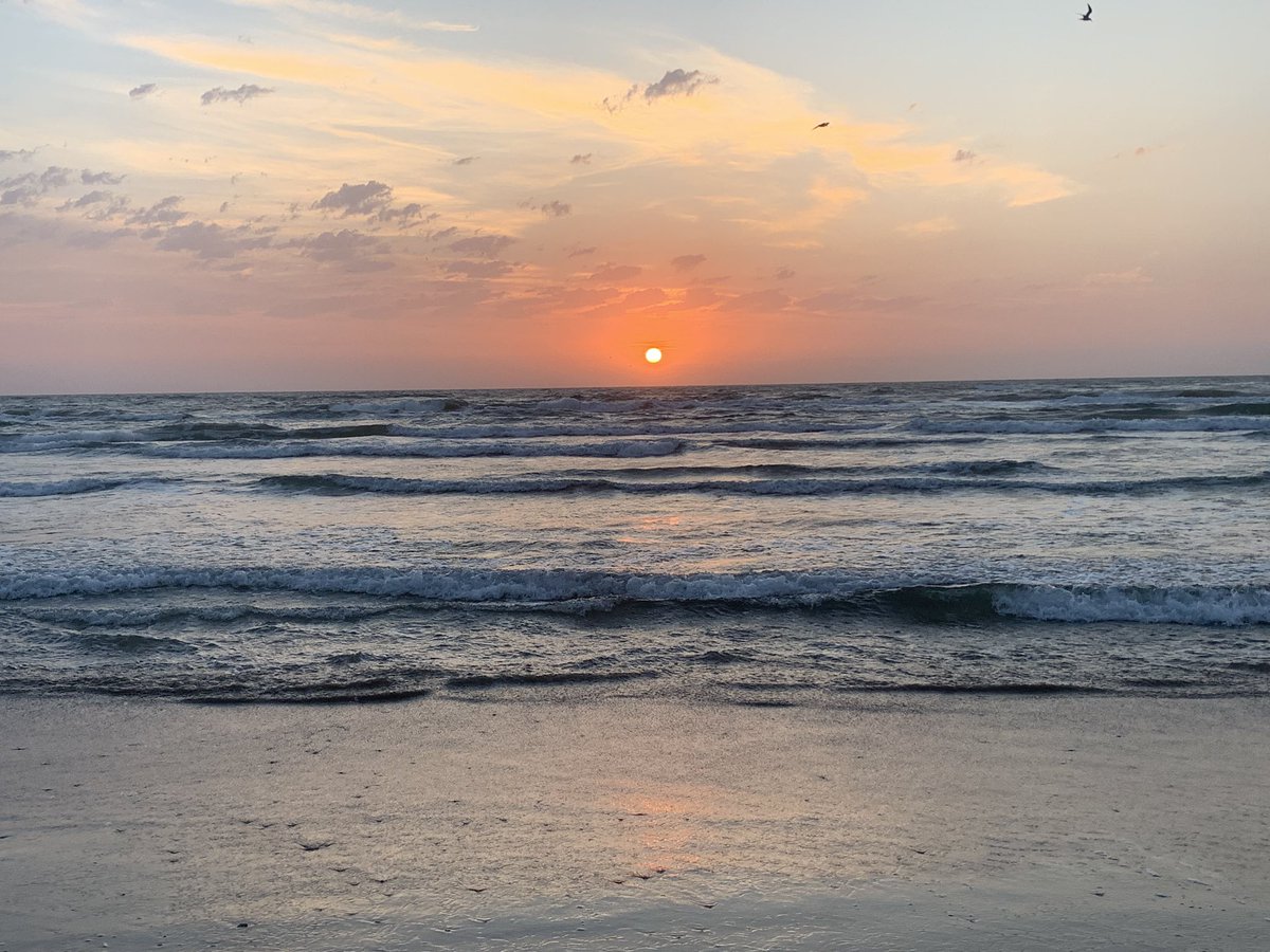 daria_guzzo's tweet photo. I had a great time last week at the @TXCD’s 30th Annual Conference last week on South Padre Island! Learned a lot and enjoyed the view! https://t.co/yZeRgcvBXu