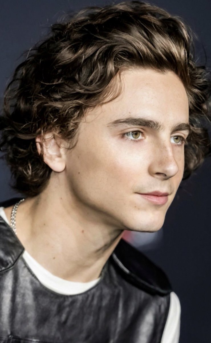 timothée chalamet at cinemacon close up you are welcome
