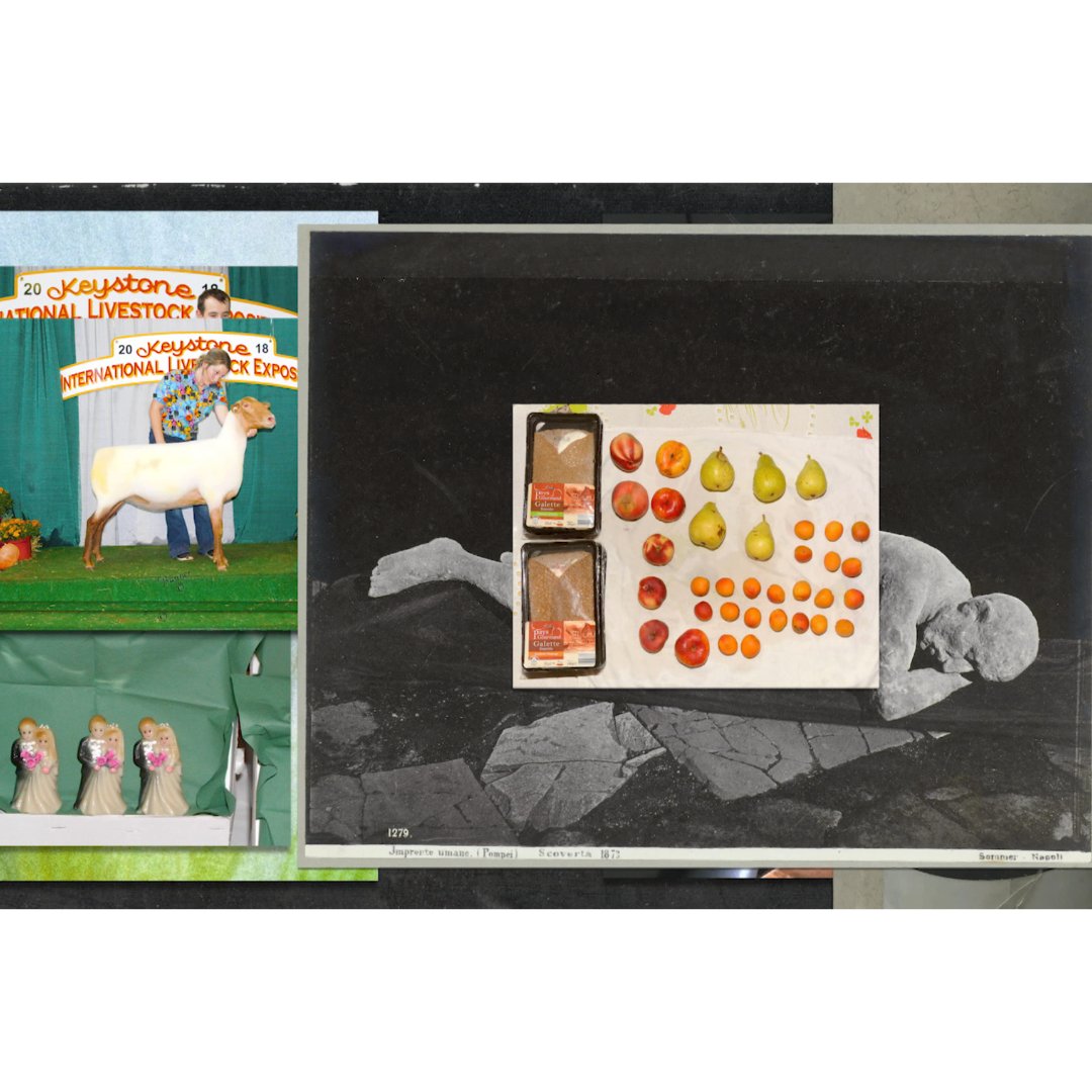 culturalquarterlates tweet media