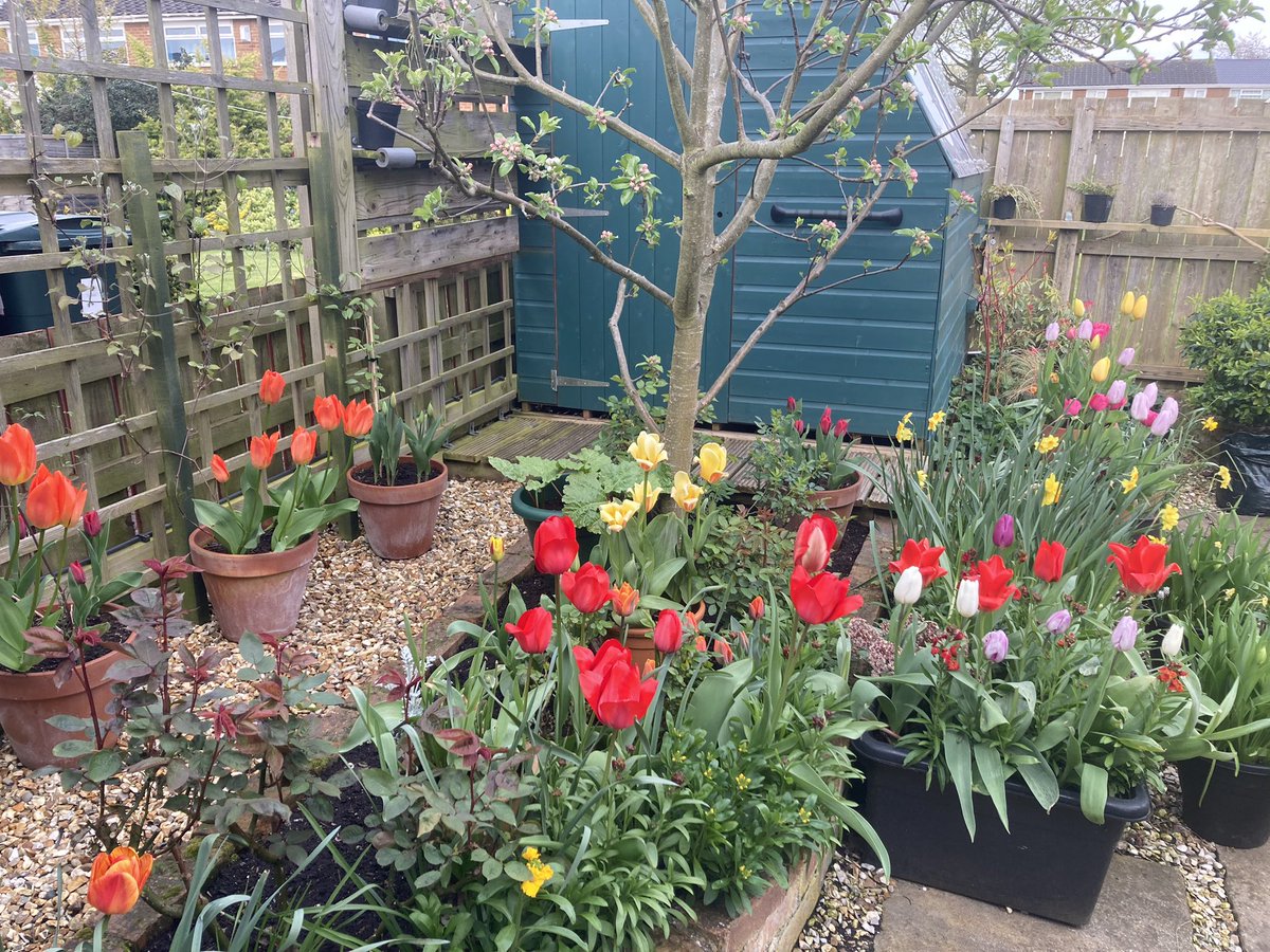 VestSandy's tweet photo. @GWandShows Not a bad effort this year ! https://t.co/jhXqycQBWR