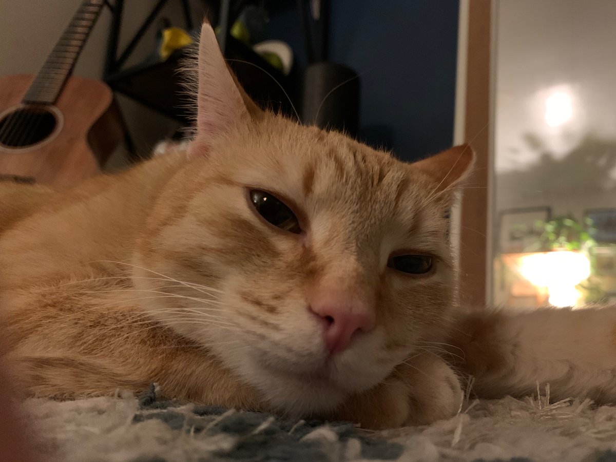 Zoe "Stumptown" Serbin tweet media