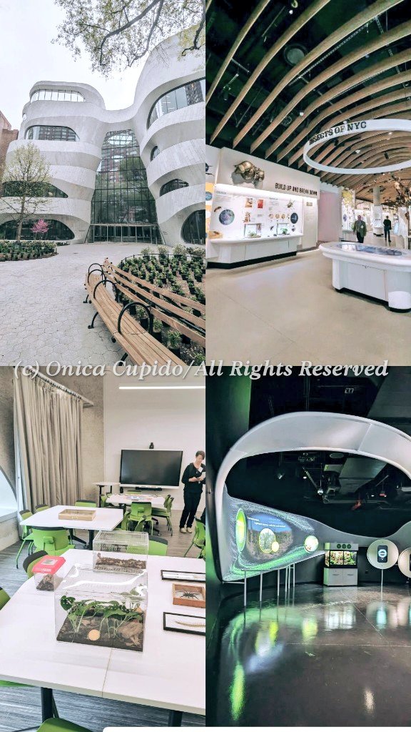 Spent the morning previewing @amnh new Richard #GilderCenter. It has much to experience w/ focus on education.👍🏾

I LOVE the classrooms where kids &amp; teens can get hands on exposure to #science &amp; #tech. ♥️ #AMNH