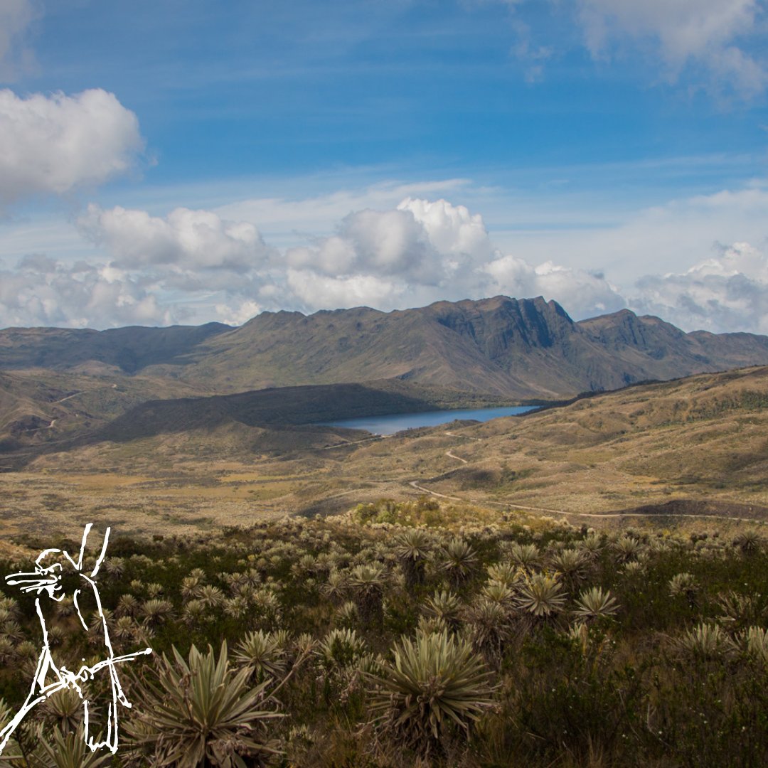RedLAC1's tweet photo. Además, trabaja en alianza con comunidades locales para fomentar la participación ciudadana en la conservación del medio ambiente.

Únete a la RedLAC y apoya a miembros como el Fondo Patrimonio Natural en su importante labor. 
#RedLACMembers
#FondoPatrimonioNatural https://t.co/ptrj1D3Qv0