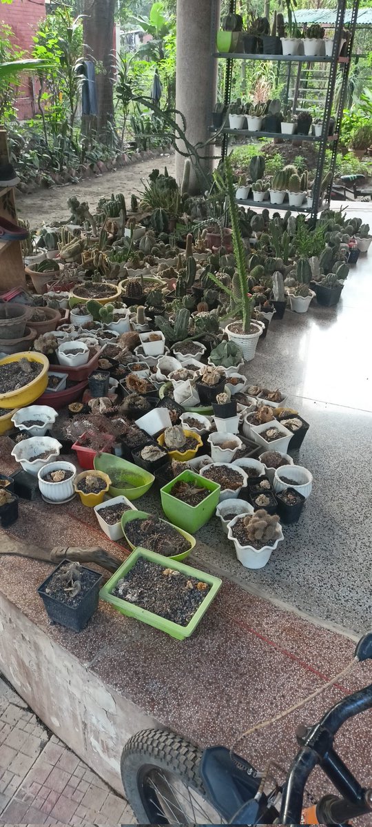 अंकित शुक्ल tweet media