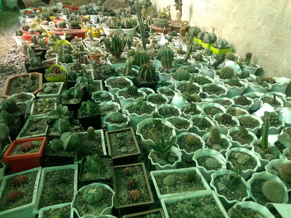 अंकित शुक्ल tweet media