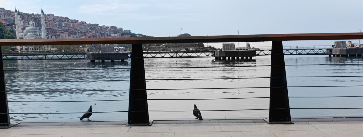 sena_blt's tweet photo. Ben gamlı hazan
Sen ise bahar. https://t.co/fWKec7E5ej