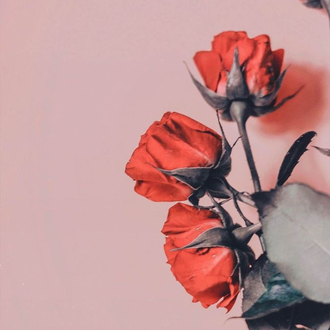 İnsanlar bir tek kötü davranışınızla tüm güzel geçmişinizi siler...
ALLAH ise bir tövbenizle tüm kötü geçmişinizi siler.... ☝️☝️