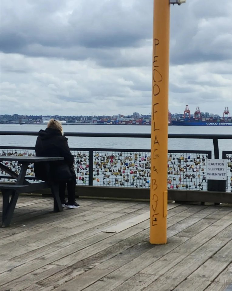 1/ Earlier this month, Freedom Fighter and @CityOfNorthVan resident Kristopher went to @LonsdaleQuay and defaced a flagpole bearing the Progress Pride flag with 'pedo flag above.'