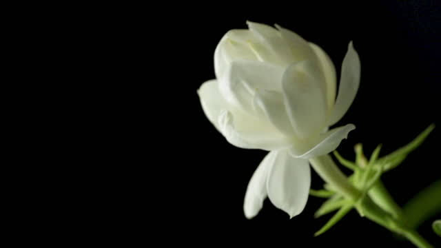 The sense of deep time brings a deep peace with it, a detachment from the timescale, the urgencies, of daily life… a profound sense of being at home, a sort of companionship with the earth..