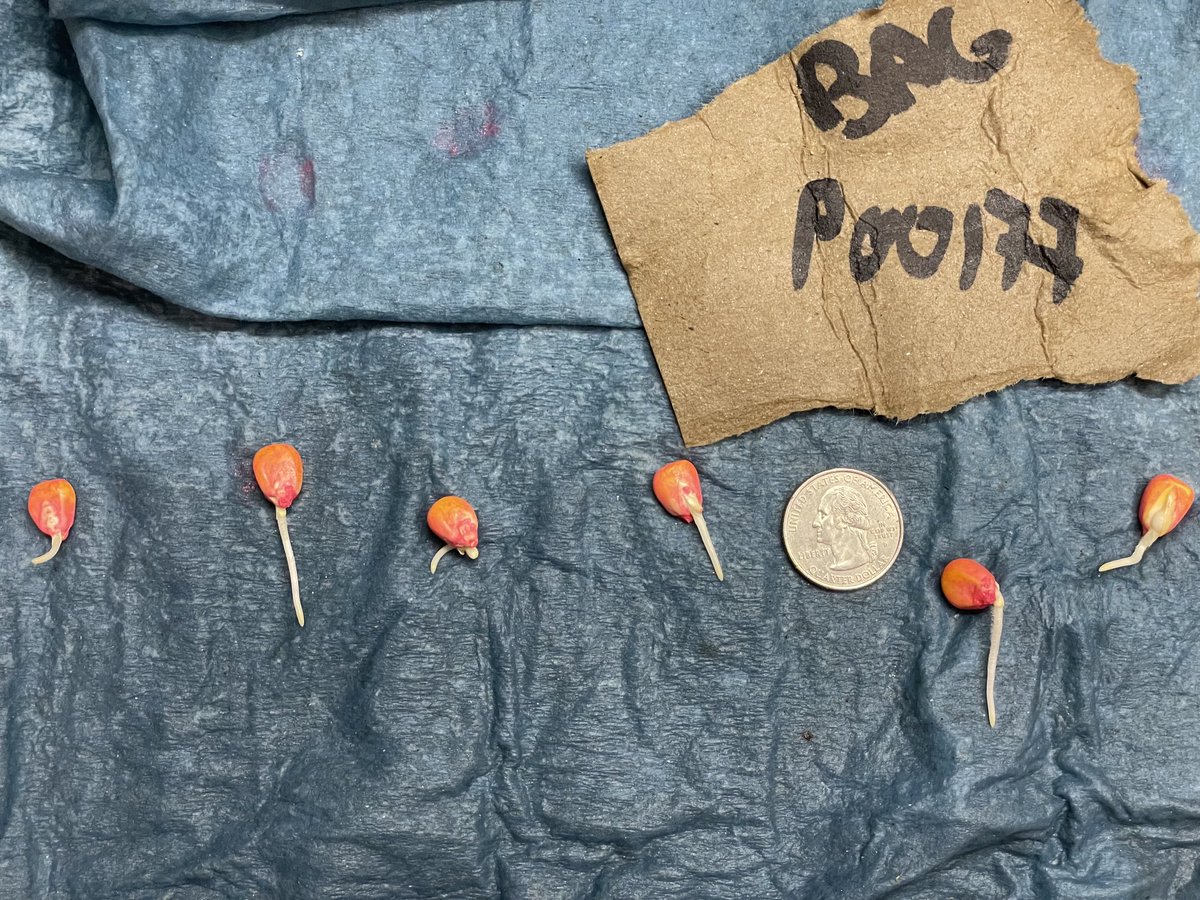 Nate LeVan tweet media