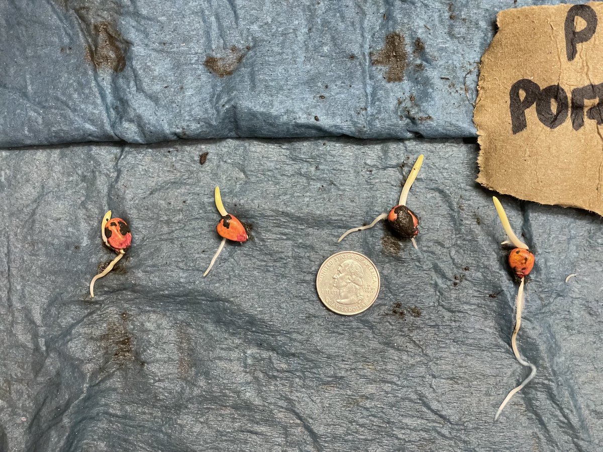 Nate LeVan tweet media