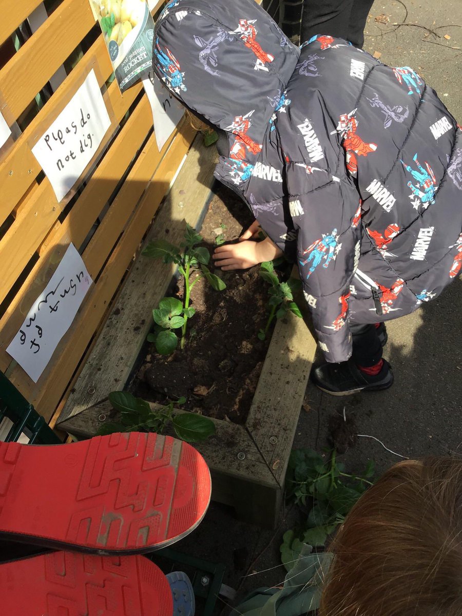 Reception Shooting Stars Hardwick Green tweet media