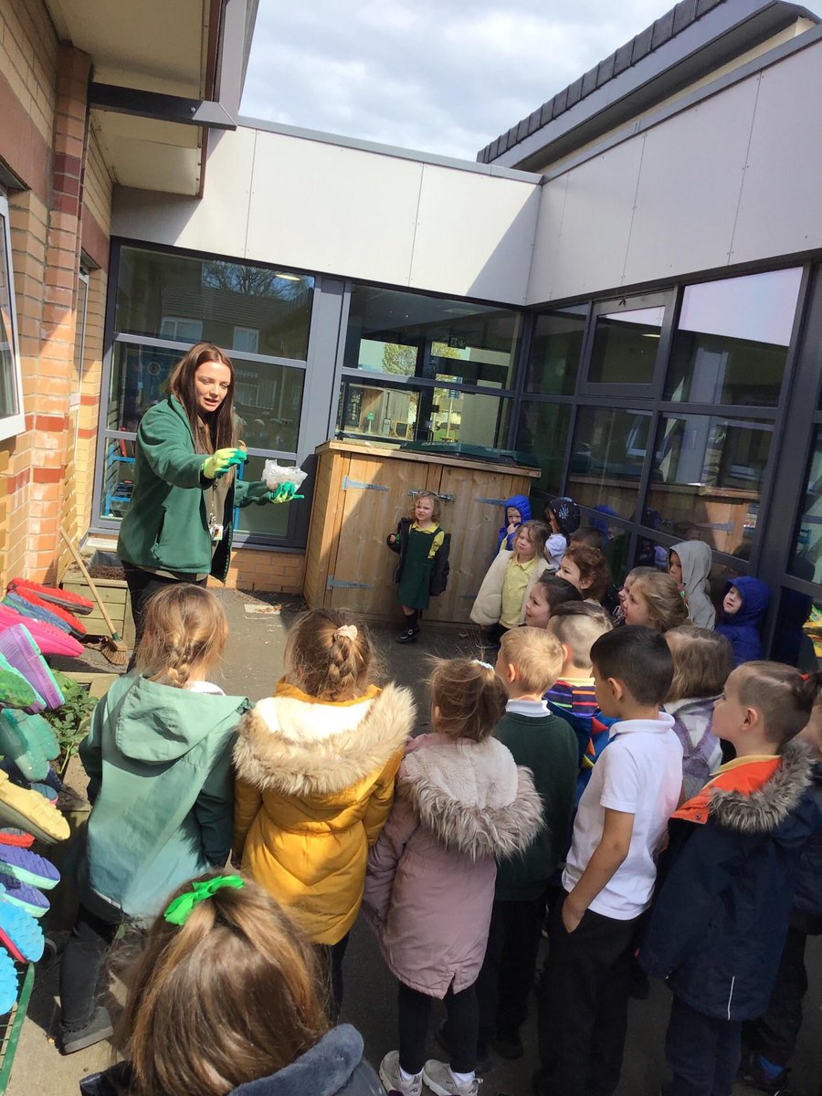 Reception Shooting Stars Hardwick Green tweet media