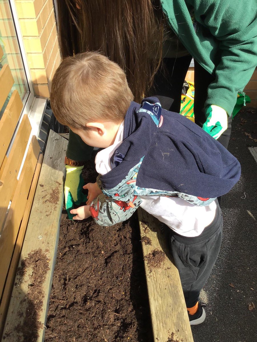 Reception Shooting Stars Hardwick Green tweet media