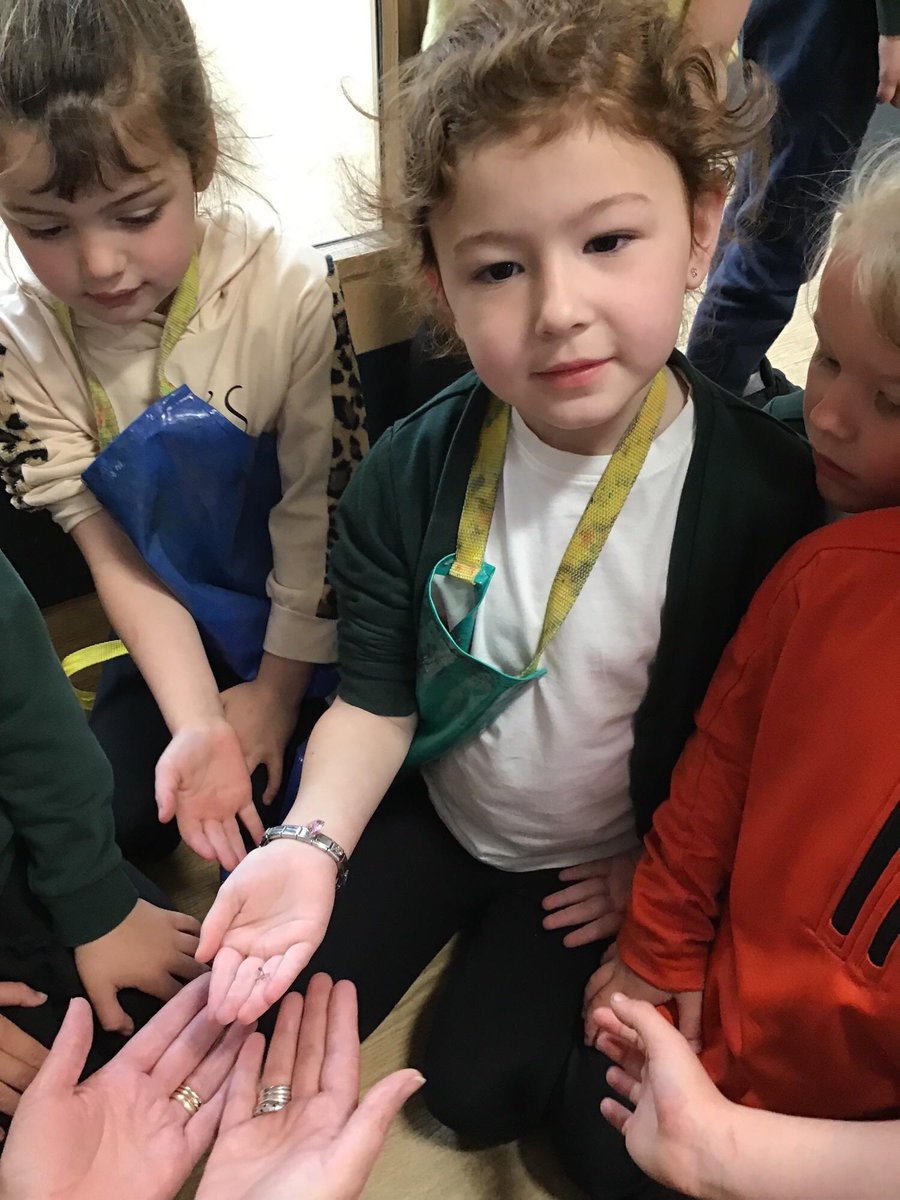 Reception Shooting Stars Hardwick Green tweet media