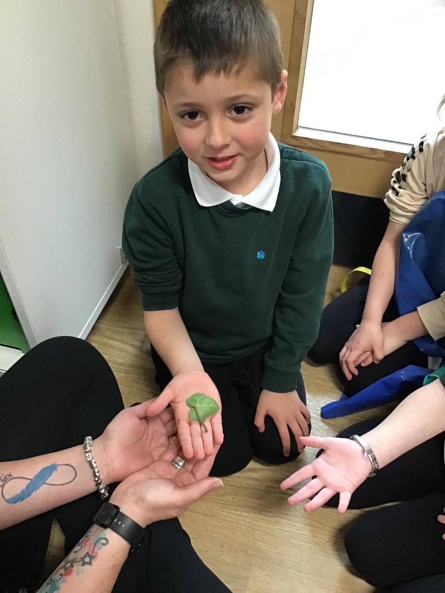 Reception Shooting Stars Hardwick Green tweet media