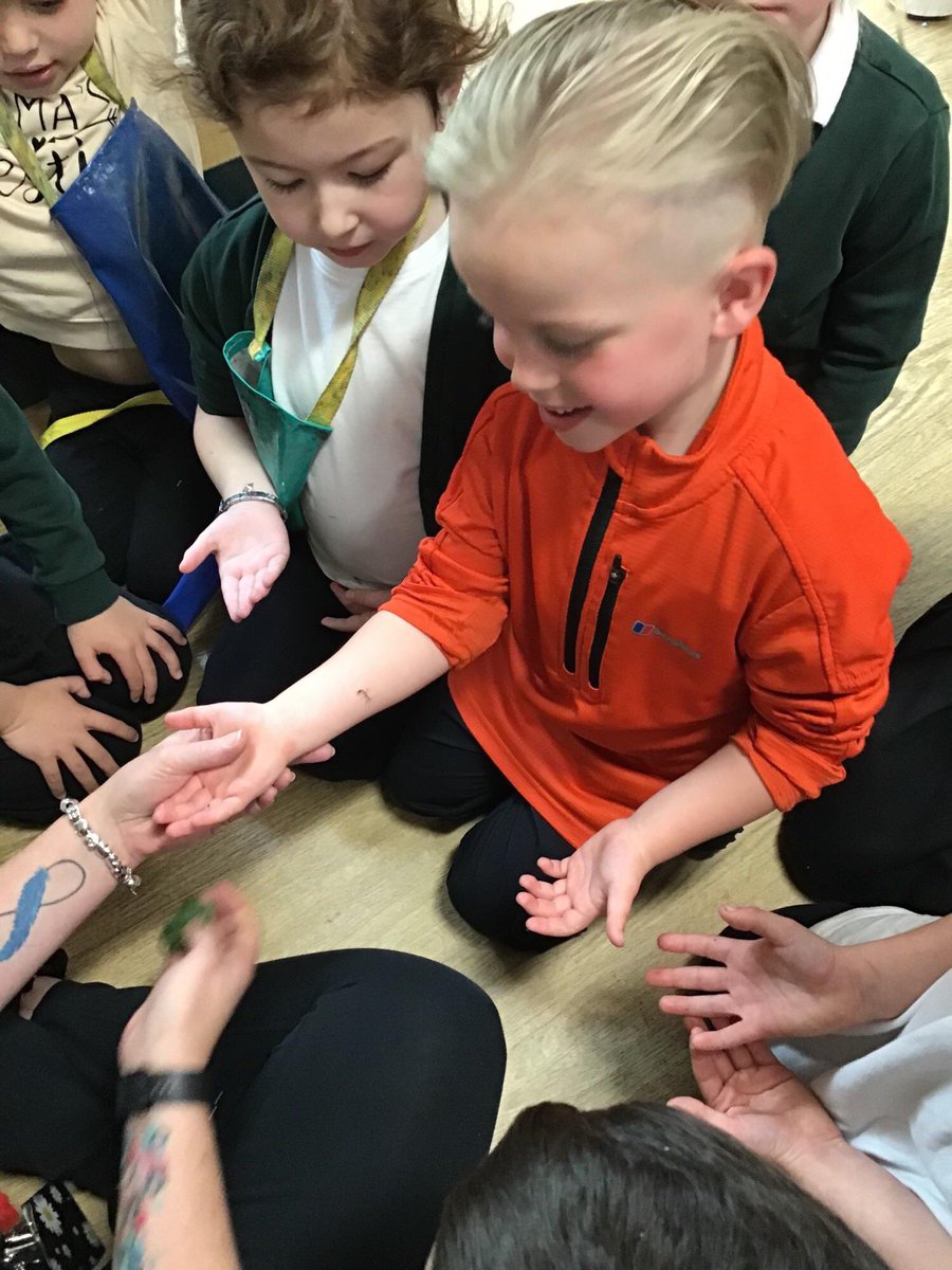 Reception Shooting Stars Hardwick Green tweet media
