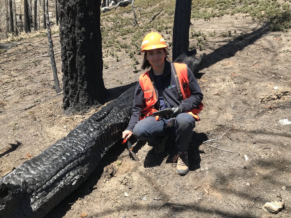 DyerDialogue's tweet photo. Our #SouthernSierra #Reforestation Team is TREE-MENDOUSLY excited to continue our #climatesmart planting efforts this week! @AmericanForests is planting ~1300 acres over the next few weeks in collaboration with @SequoiaForest &amp; #CALFIRE_TUU. #SharedStewardship
#BuildBackBetter https://t.co/gcu2fNLOSk