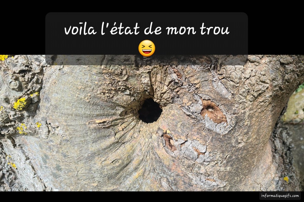 informatiquegif's tweet photo. J'en suis désolé 🤣 mais le voilà en photo.. il fallait pas me le demander 😁 https://t.co/xJvgdrC9c4
