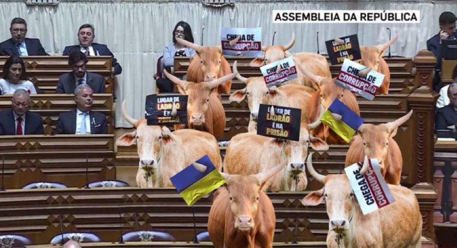 SegueOJorge's tweet photo. É preciso criminalizar o chega. Isto não é partido. É organização criminosa. Se fossem mesmo patriotas os apoiantes deste partido deviam abandonar o país para prover mais conforto aos ciganos e todos os imigrantes que tanto contribuem com Portugal. #ChegaDeFascismo #ForaChega https://t.co/7Sn3N8QIg9