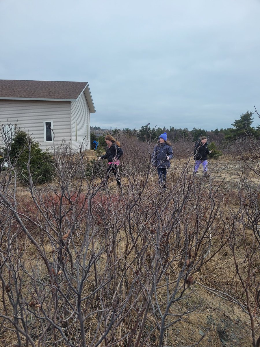 Allyssa Strange (@astrangeclass) on Twitter photo Last week a few students asked if we could do a community clean up. Today the weather was finally nice enough to get out and clean up the school grounds. <a href="/EcoSchoolsCAN/">EcoSchools Canada</a> <a href="/NLESDCA/">NLESD</a> <a href="/sa_elementary/">St. Augustine's</a> Last week a few students asked if we could do a community clean up. Today the weather was finally nice enough to get out and clean up the school grounds. <a href="/EcoSchoolsCAN/">EcoSchools Canada</a> <a href="/NLESDCA/">NLESD</a> <a href="/sa_elementary/">St. Augustine's</a>