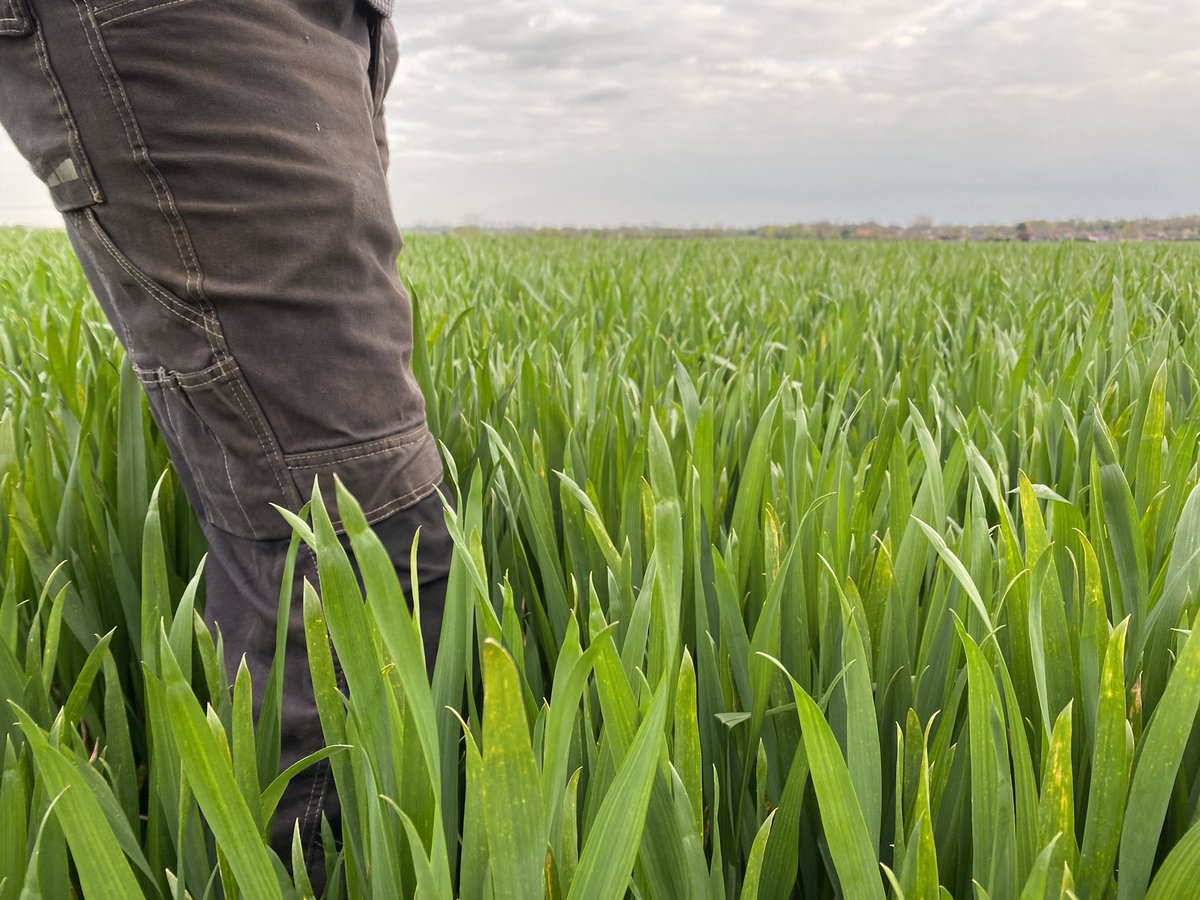 Tim Barrell tweet media