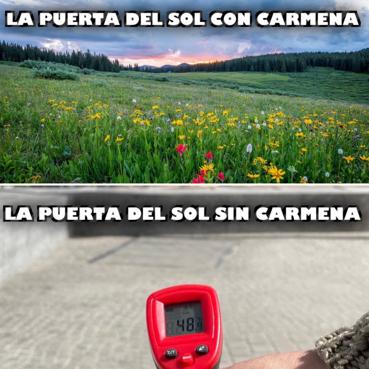 Hola.
 <a href="/Rita_Maestre/">Rita Maestre 🌾</a> me acaba de bloquear, ¿alguien podría mandarle esto? ¡Muchas gracias!