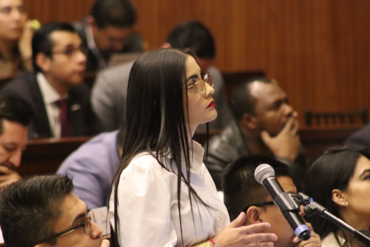 ‼️Los asambleístas interpelantes de este #JuicioPolítico sin fundamentos durante casi 2 horas presentaron “sus alegatos finales” por medio de la As. Veloz.

Queda en evidencia luego de escucharlos que NO HAY ni una sola prueba, para enjuiciar políticamente al presidente y que no