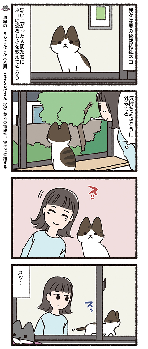 ↓ねこようかい、ねこもんすたー、悪の秘密結社ネコ 13冊セット 悪の秘密結社ネコ | ぱんだにあ |本 | 通販 | Amazon