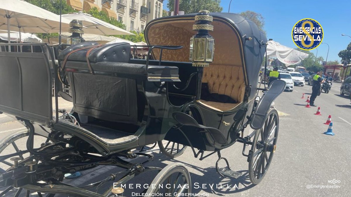 EmergenciasSev's tweet image. 🟥@PoliciaSevilla instruye diligencias por delito de maltrato animal contra la propietaria de una yegua que murió al agravarse la enfermedad que padecía por una deshidratación.
Ocurrió a las 15:45 h. en Paseo Cristobal Colón #Sevilla
+ bit.ly/3VotVn3