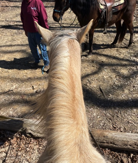 Southeast Ohio Magazine tweet media