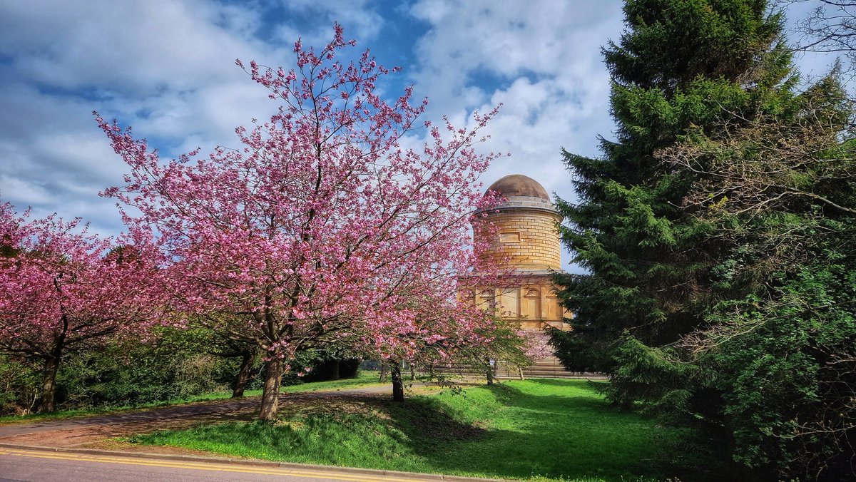 A lunchtime wander down to the Duke of Hamiltons Mausoleum. @ScotsMagazine @VisitScotland @VsitLanarkshire #Mausoleum #Blossom #Scotland #scotspirit #history