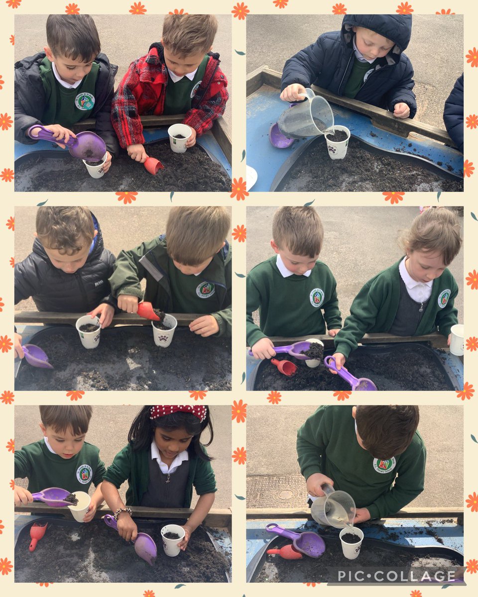 Reception have planted sunflower seeds today, after learning about how seeds grow. ☀️💦🌻 @StJosephStBede #SJSBEYFS #UTW #LivingAndGrowing