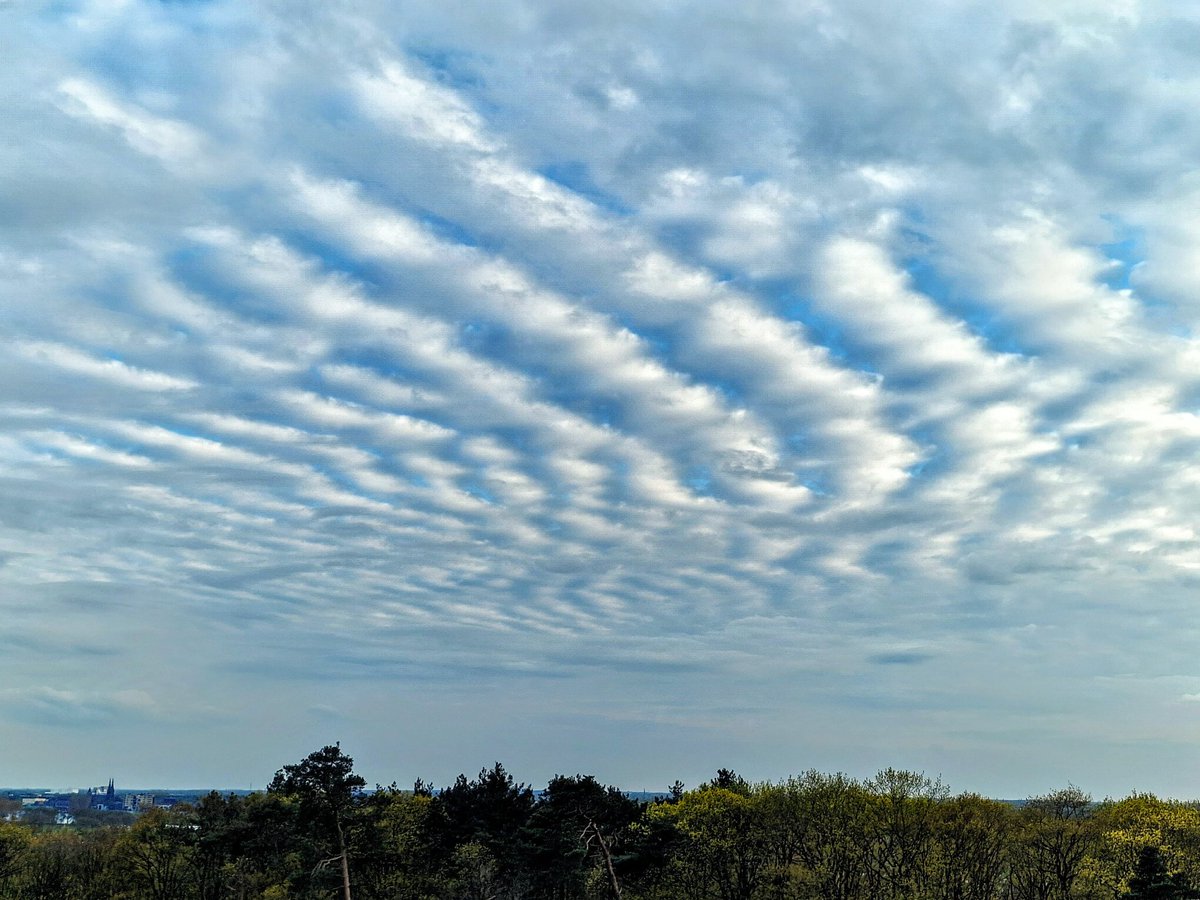 🌤 De hele lucht hangt vol ribbels boven de Mookerheide! Deze wolken noemen we ook wel altocumulus 👇