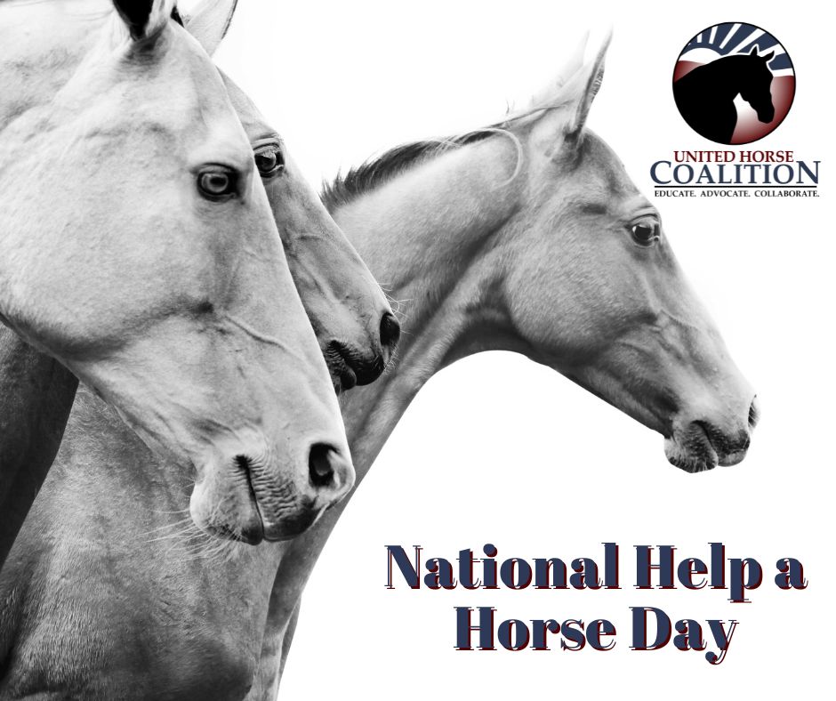 United Horse Coalition on Twitter "Want to help a horse? Help your own