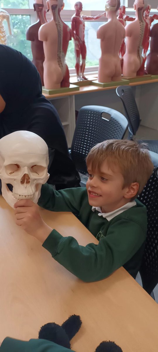 TheMillCornwall's tweet photo. Team Millbrook are now fully qualified doctors after a great day at University of Plymouth Peninsula School of Medicine and Dentistry. We can confirm that every teddy is now fully healed. Well done Team! 💚 https://t.co/cTPT8Pmq4l