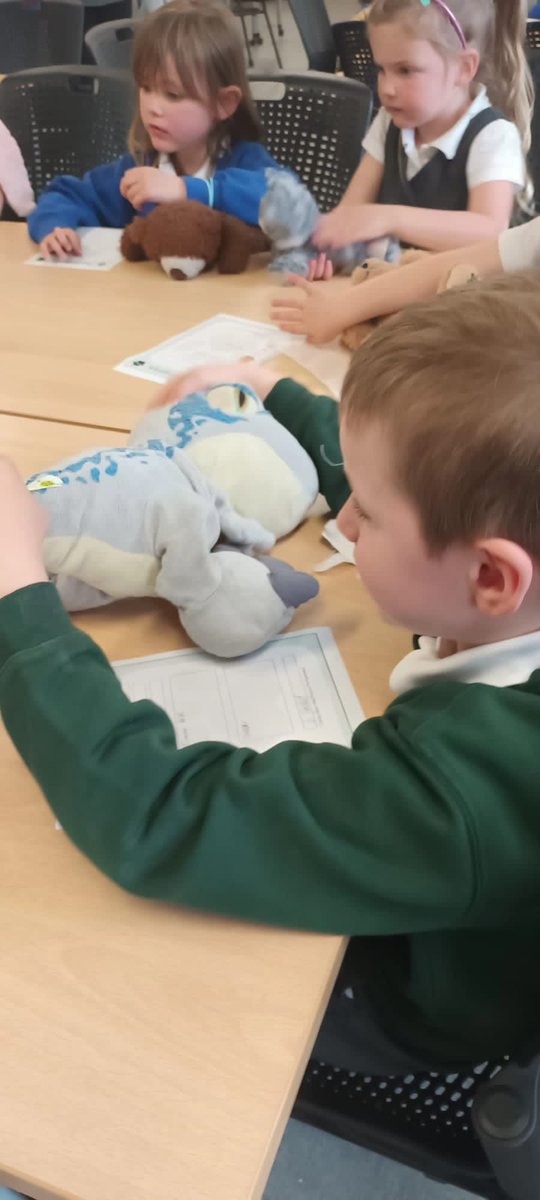 TheMillCornwall's tweet photo. Team Millbrook are now fully qualified doctors after a great day at University of Plymouth Peninsula School of Medicine and Dentistry. We can confirm that every teddy is now fully healed. Well done Team! 💚 https://t.co/cTPT8Pmq4l